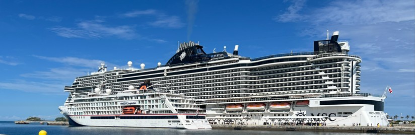 Luxury Cruise Travel